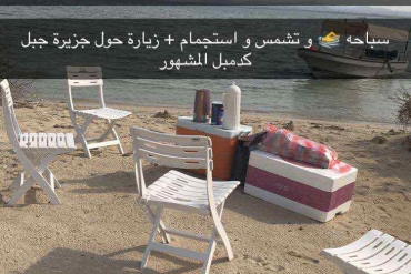 main_image_1640508353.png