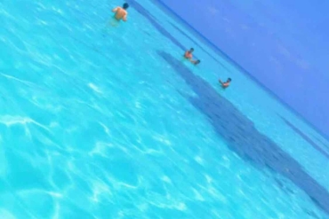 main_image_1644235677.png