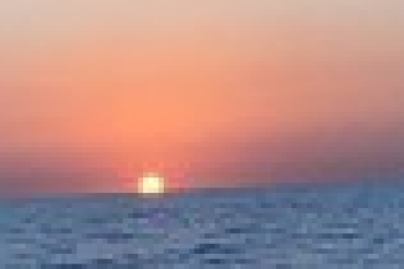 main_image_1651021997.jpg