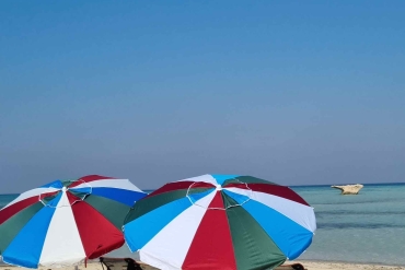 main_image_1671472288.png